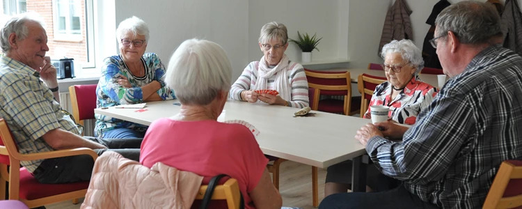 Whistspillere søger makkere