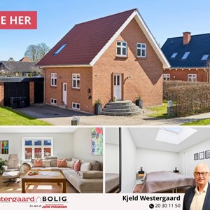 Opslagsbillede