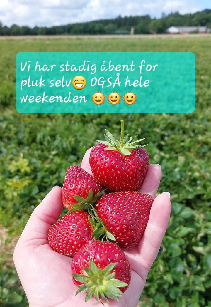 Nyt på opslagstavlen i Sæby