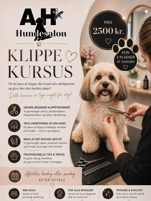 Eksklusivt klippekurstilbud fra AH Hundesalon