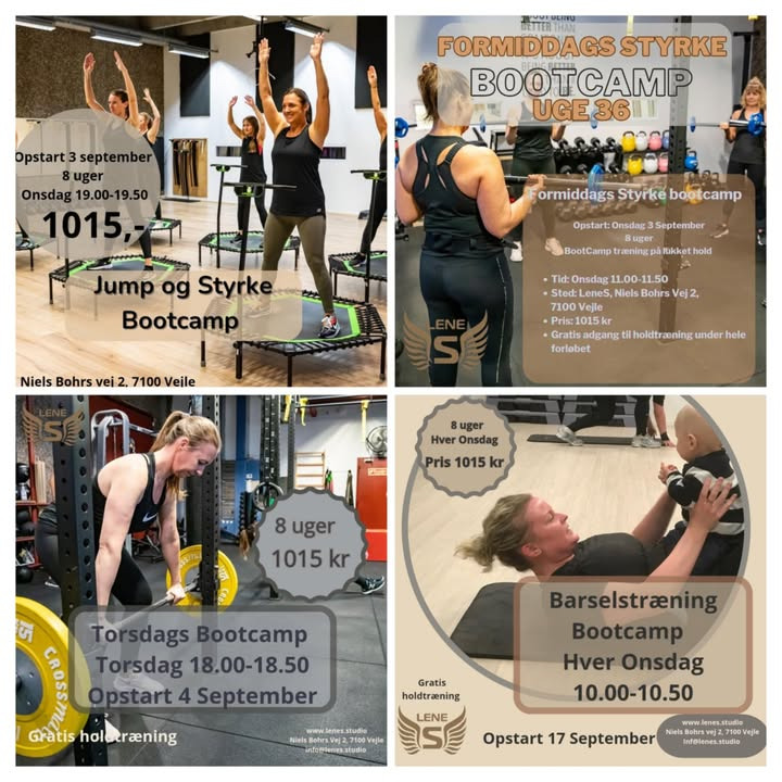 LeneS introducerer nye bootcamps til september