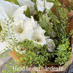 Opslagsbillede
