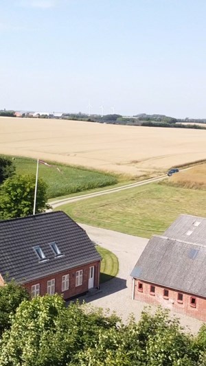 opslagsbillede