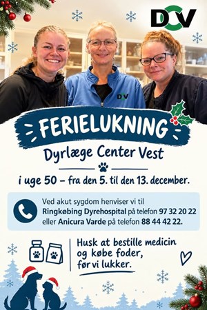 opslagsbillede