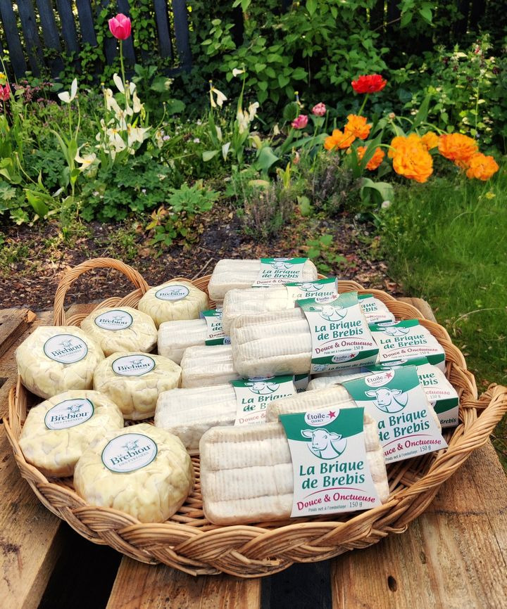 Opslagstavlen: Nyeste opdateringer fra Risskov