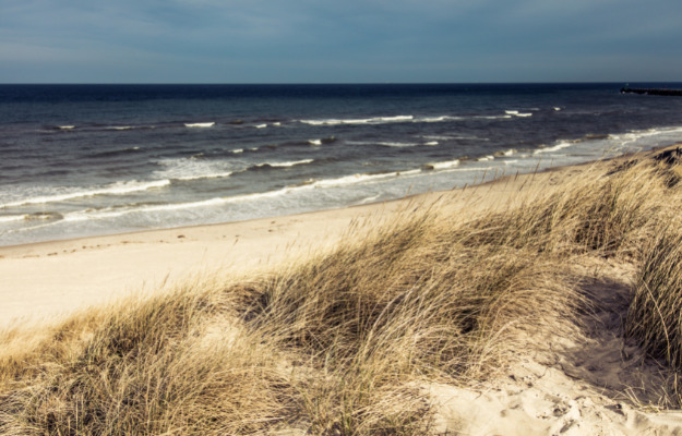 Oplev Danmark: 3 gode oplevelser på Nordfyn