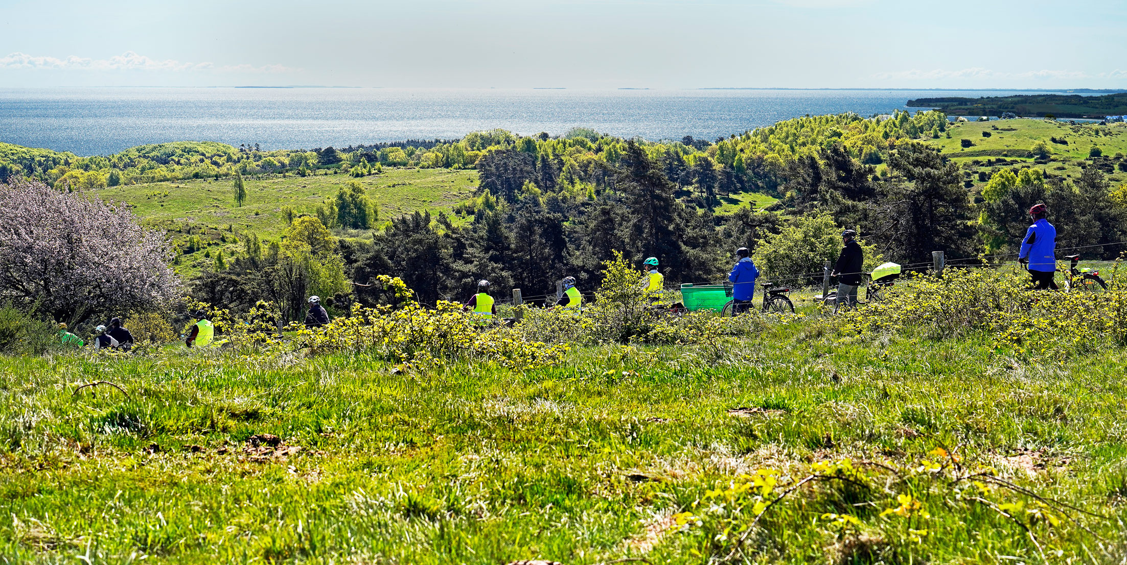 Oplev Mols Bjerge på cykel med Turistforeningen