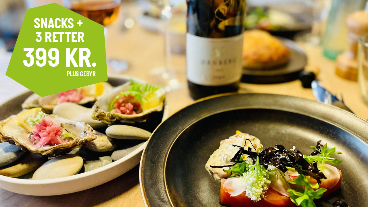 Gastronomisk oplevelse hos Den Hvide Hest i Kolding