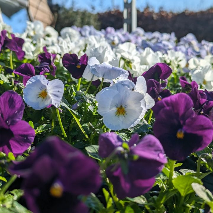 Hold dig ajour med dagens opdateringer fra Hobro