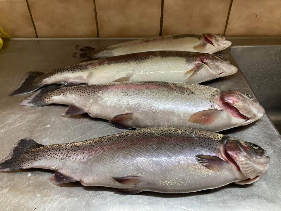 Opslagstavlen: Nyeste opdateringer fra Hadsund