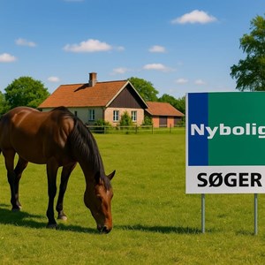 Opslagsbillede