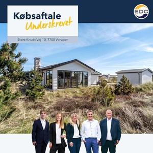 Opslagsbillede