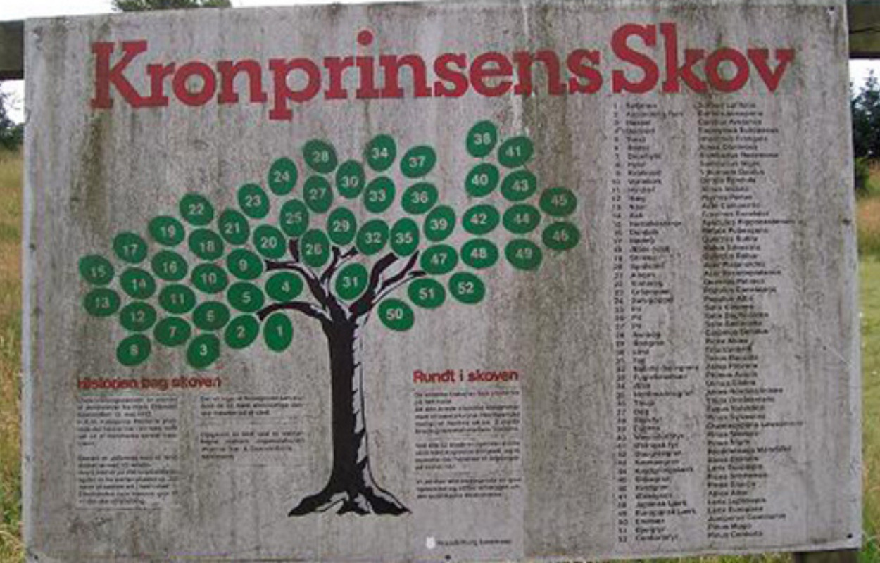 Kom til fest i Kronprinsens Skov