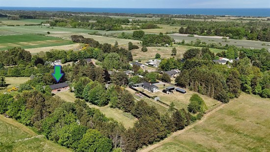 Velholdt villa i naturskønne omgivelser – minimal vedligeholdelse, stor garage og egen lille "skov"