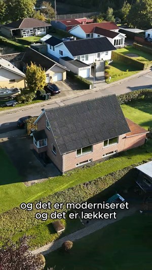 opslagsbillede