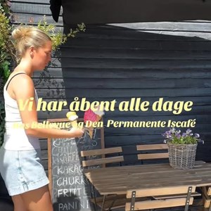 Opslagsbillede
