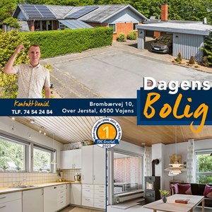 Opslagsbillede