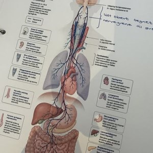 Opslagsbillede