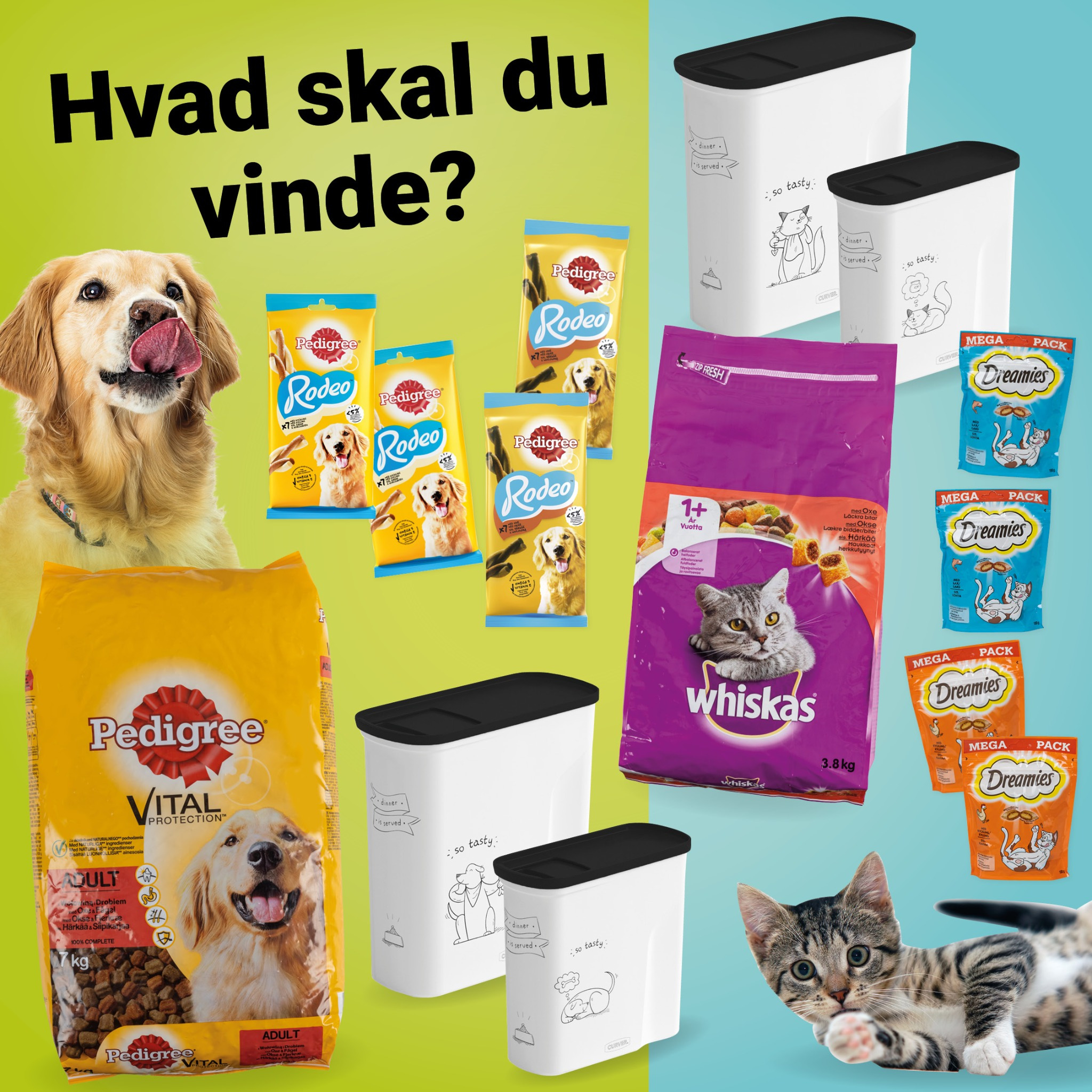 Opslagstavlen: Nyeste opdateringer fra Holbæk