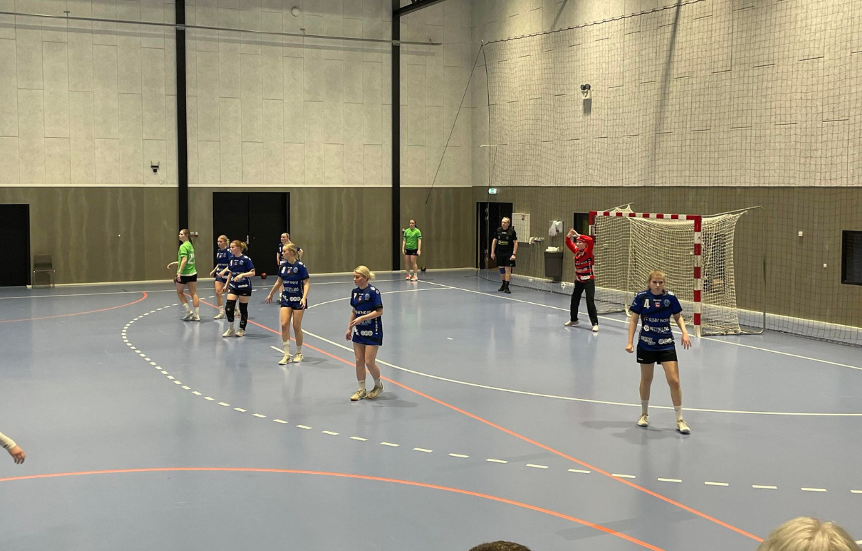 Ellegaard og Vestergaard brillerede forgæves