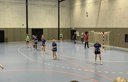 Ellegaard og Vestergaard brillerede forgæves