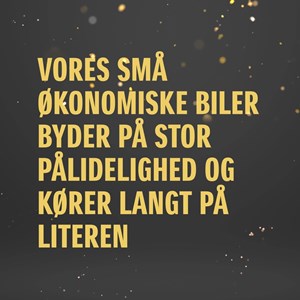 Opslagsbillede