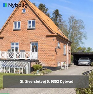 opslagsbillede