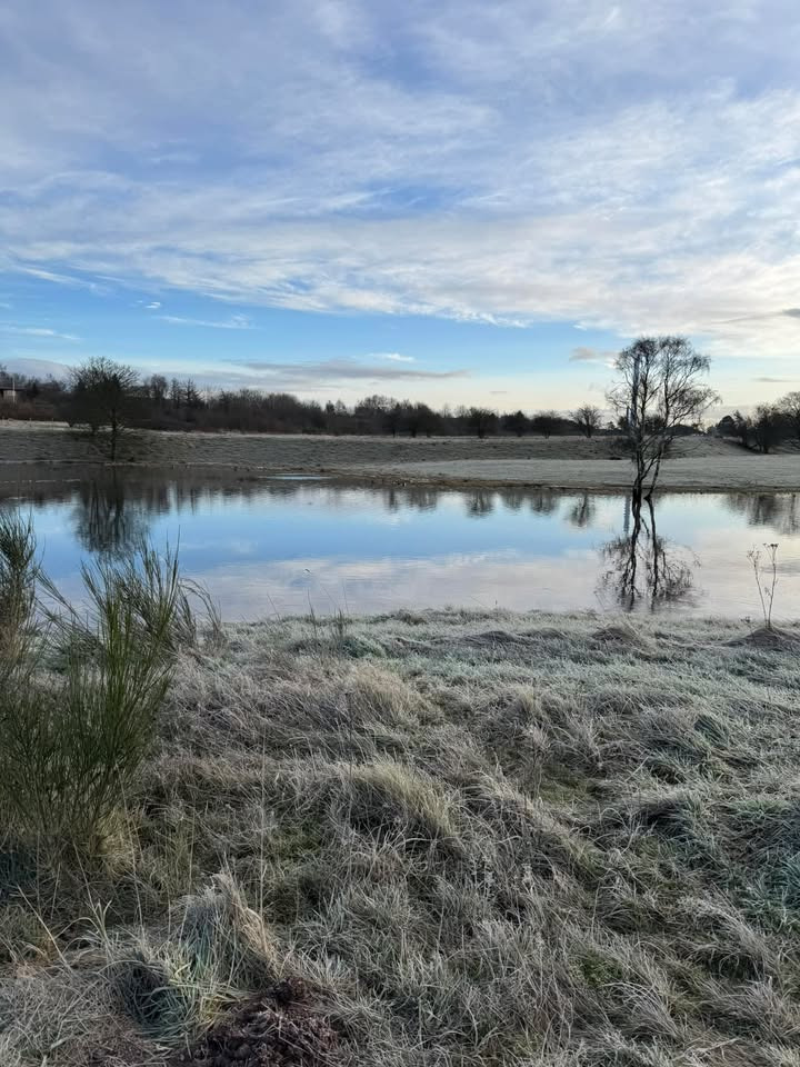 Combi Frisøren opdaterer: Salonen lukket mandag, Susanne tilbage tirsdag kl. 9.00