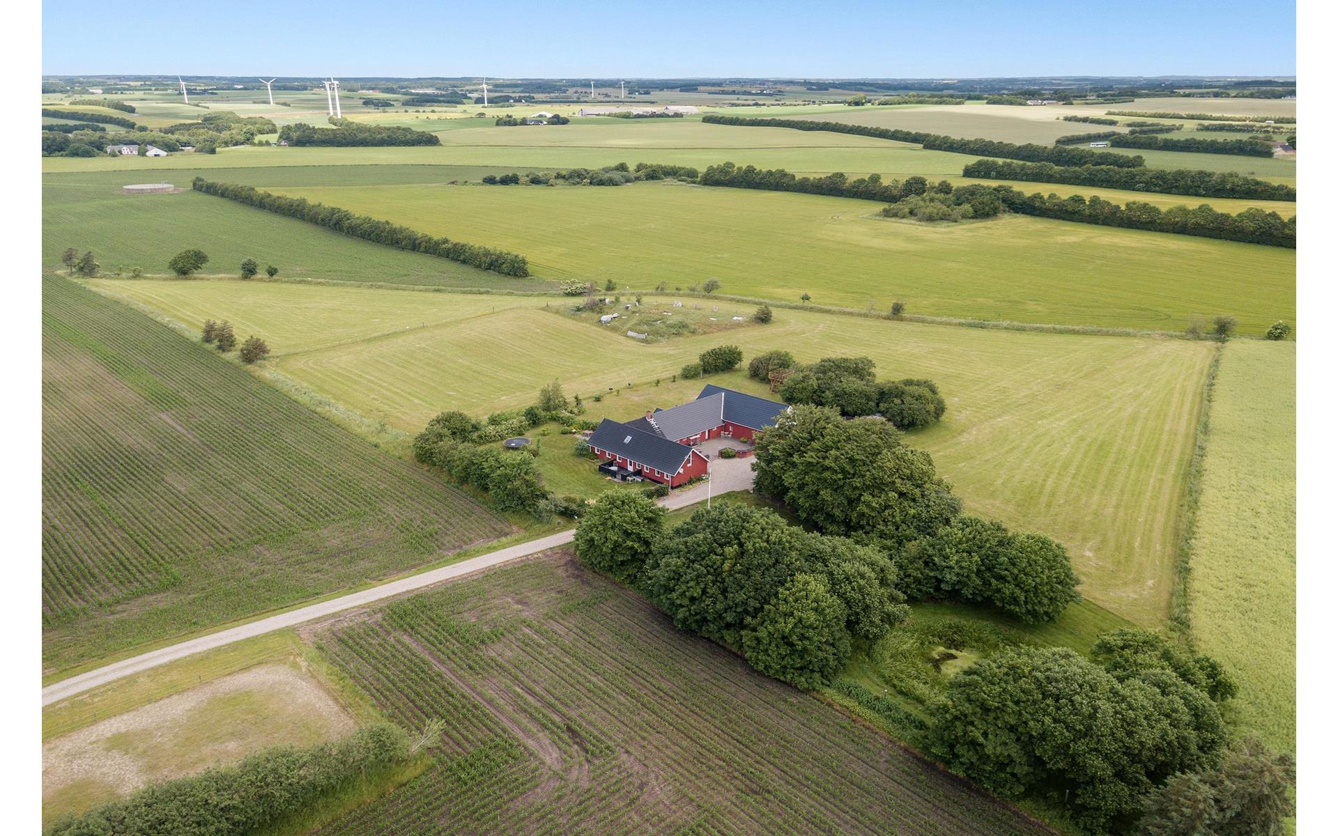En finger på pulsen i Aalestrup