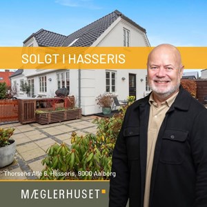 opslagsbillede