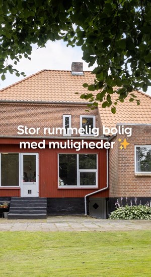opslagsbillede