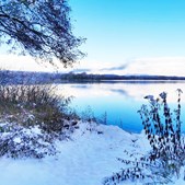 Oplev vandets betydning i Naturpark Åmosen
