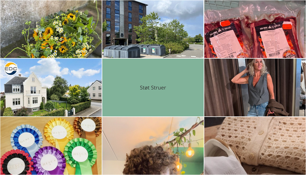 Nyt fra HESCA, EDC Ejen­doms­grup­pen Struer, Florist Pernille DB og 5 andre