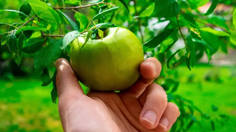 Ny sundhedspolitik - Sammen om livet