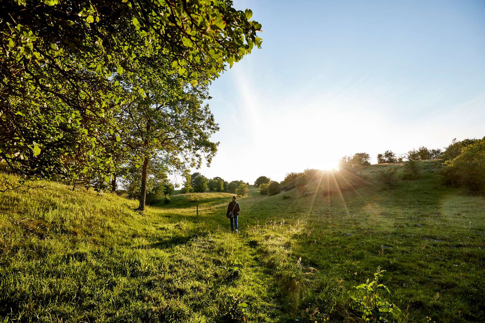 Fem fantastiske vandreture til juleferien