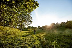 Fem fantastiske vandreture til juleferien
