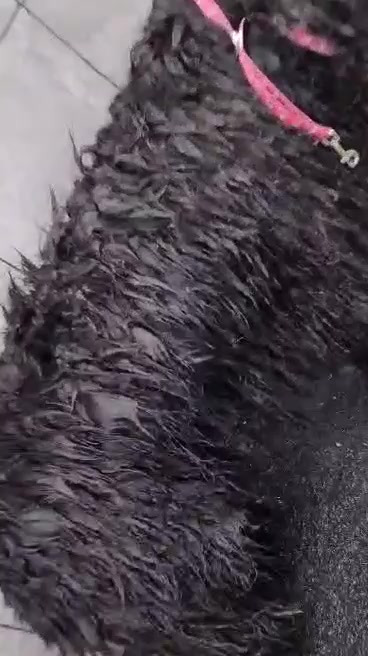 Hold dig ajour med dagens opdateringer fra Sæby