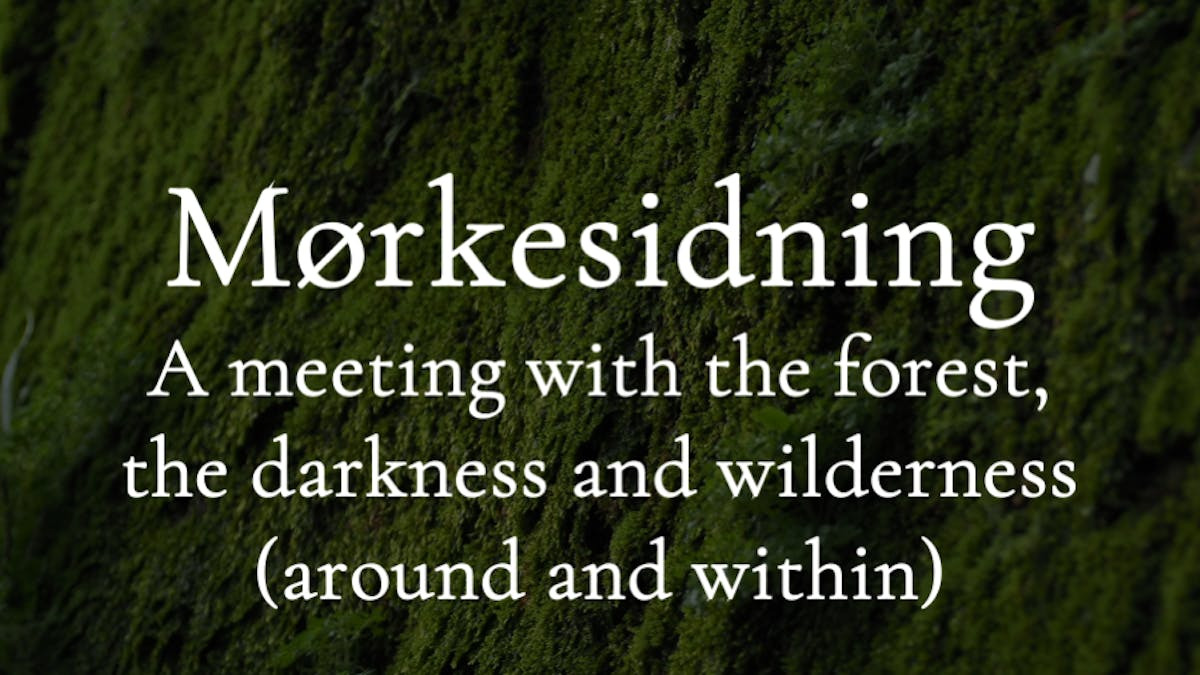 Oplev mørkesidning i skovens dyb ved Klampenborg