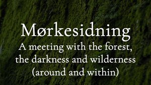 Oplev mørkesidning i skovens dyb ved Klampenborg