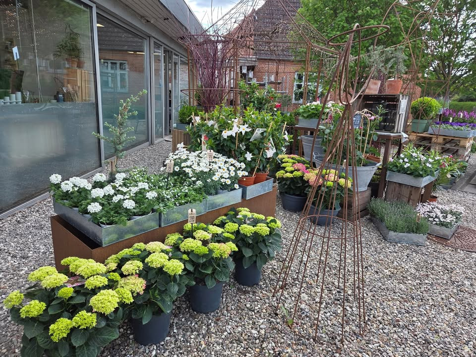 Flore Vida klar med forårsbuketter til Mors Dag