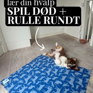 Opslagsbillede