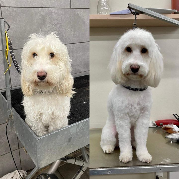 Nyt på opslagstavlen i Sæby