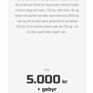 Opslagsbillede