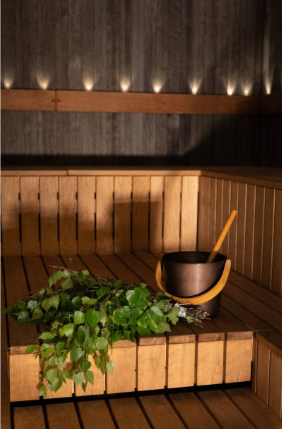 Oplev dyb transformation under fuldmånens skær i Hornbæk