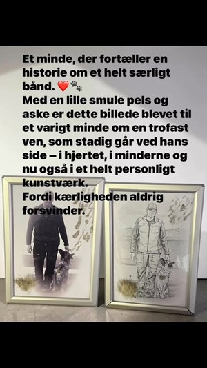 opslagsbillede