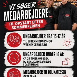 Opslagsbillede