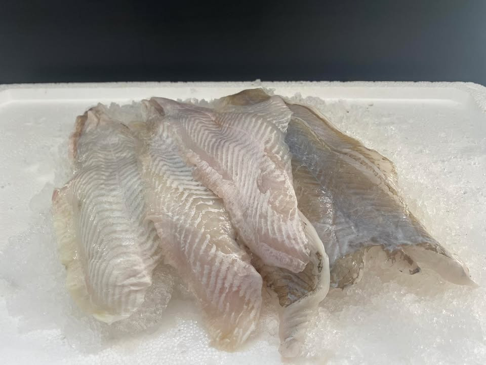 Havnens Fisk Øster Hurup tilbyder store rødspættefileter til særpris