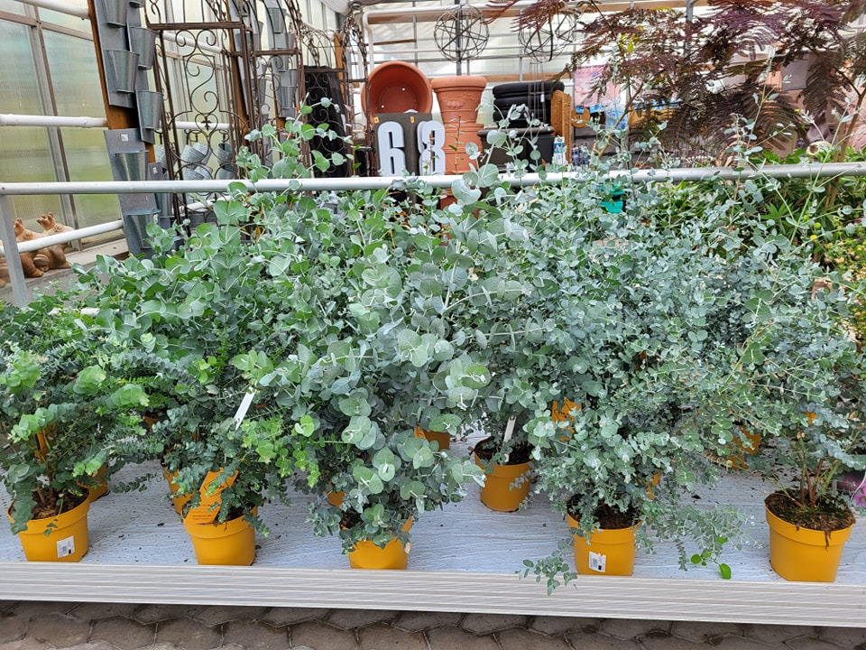 Hold trit med lokalområdet: Nyt fra Viborg