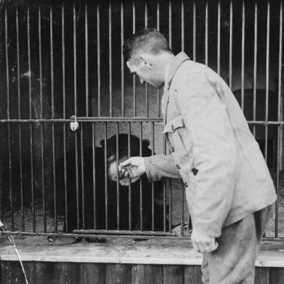 Foredrag: Da Holstebro fik sin egen zoologiske have – og måtte lukke den igen