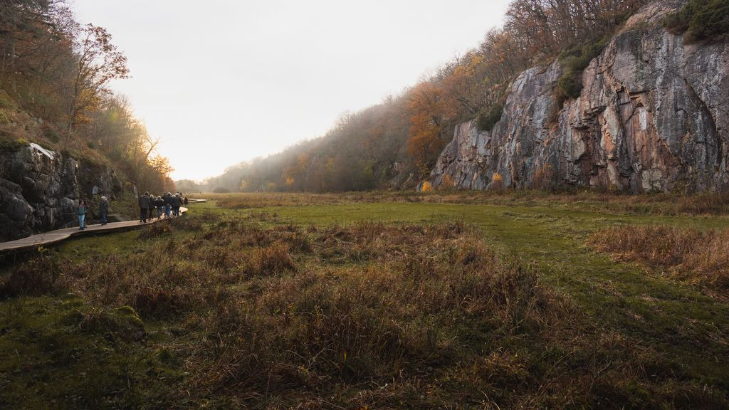 Oplev Ekkodalens historie og natur på en spændende vandretur